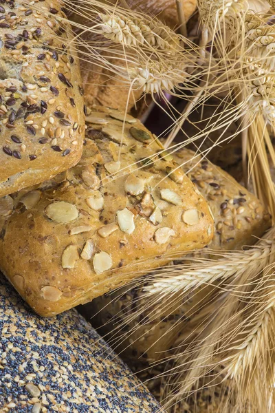 Close-up van brood assortiment. — Stockfoto