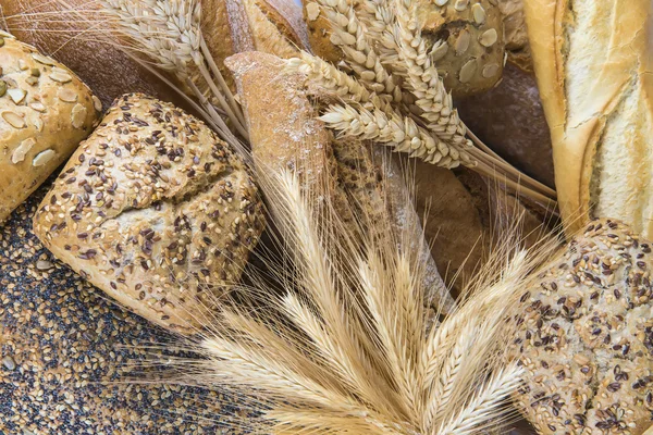 Fechar a partir de sortimento de pão . — Fotografia de Stock