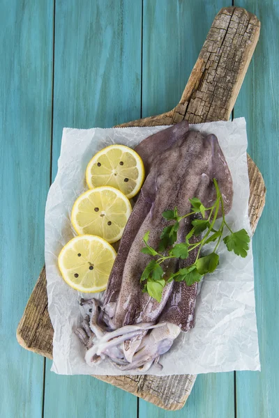 Färsk bläckfisk — Stockfoto