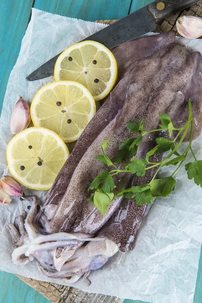 Fresh squids — Stock Photo, Image