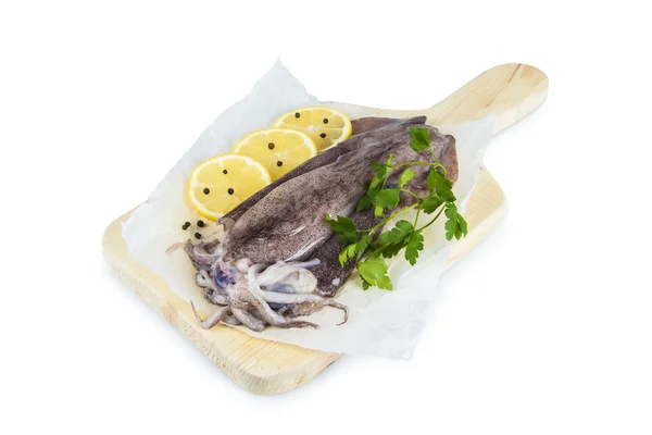 Fresh squids — Stock Photo, Image