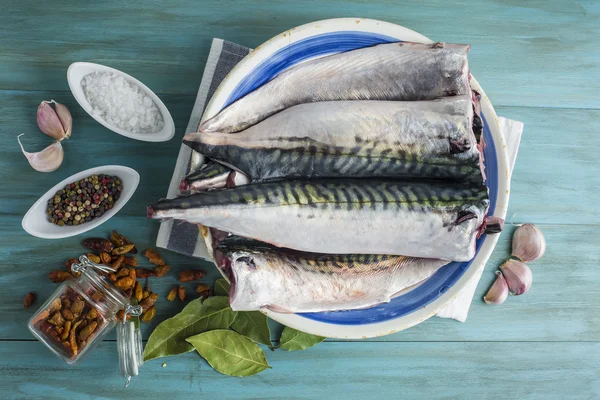 Fresh mackerel to cook — Stock Photo, Image