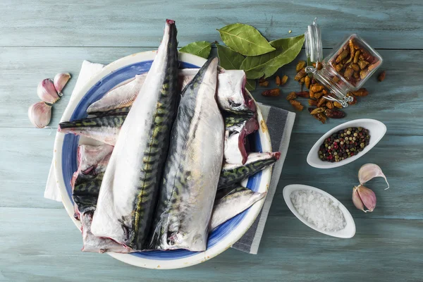 Fresh mackerel to cook — Stock Photo, Image