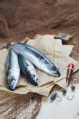 Still life about sportive fishing for mackerel clipart
