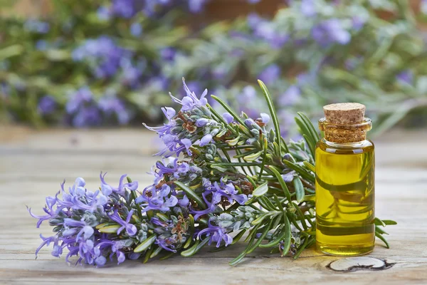 Rosemary essential oil — Stock Photo, Image