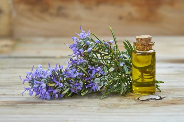 Rosemary essential oil — Stock Photo, Image