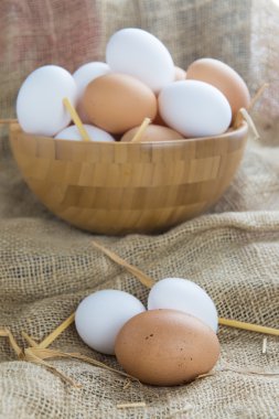 taze ücretsiz aralığı yumurta 