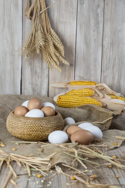 Färska frigående ägg — Stockfoto