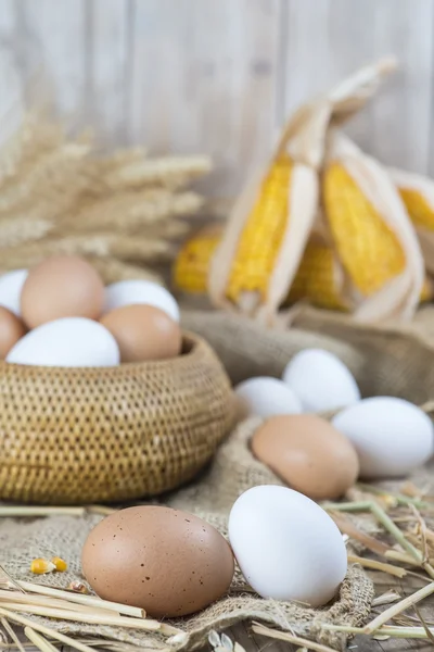 Frische Eier aus Freilandhaltung — Stockfoto