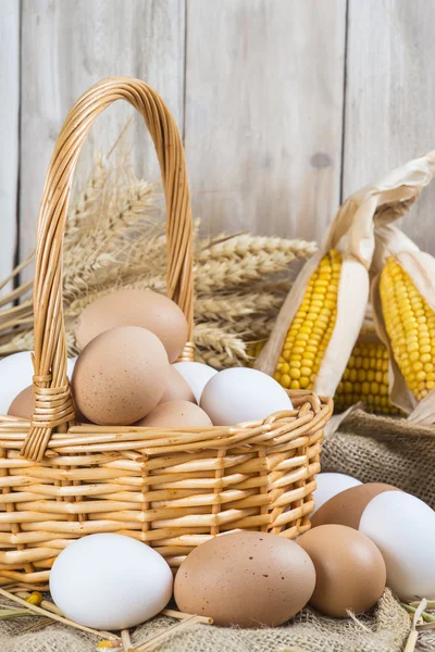 Čerstvý volného výběhu vejce — Stock fotografie