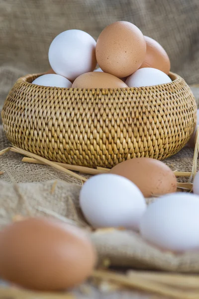 Свежие яйца свободной гаммы — стоковое фото