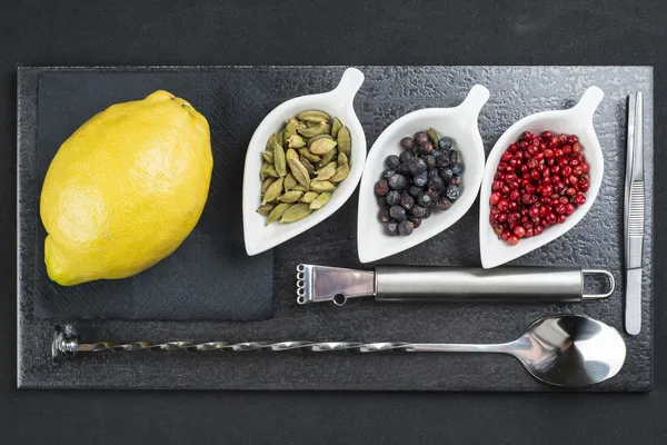 Utensili e ingredienti per preparare un gin tonic — Foto Stock