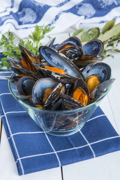 Steamed mussels — Stock Photo, Image