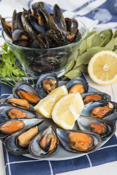 Cozze al vapore — Foto Stock