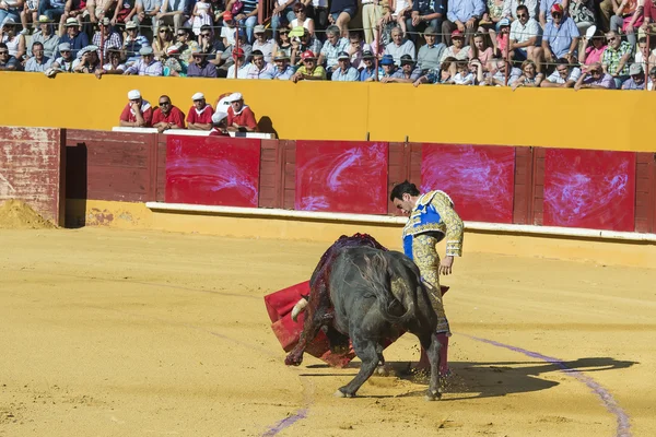 Enrique Ponce fighting in Avila — Stock Photo, Image