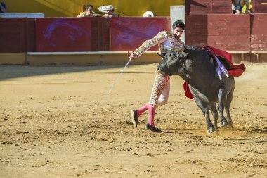 alejandro talavante Avila içinde mücadele