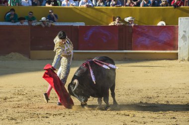 alejandro talavante Avila içinde mücadele