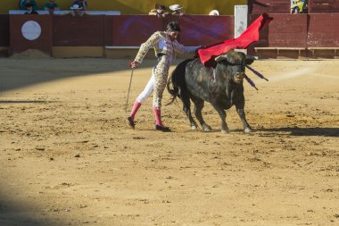 alejandro talavante Avila içinde mücadele