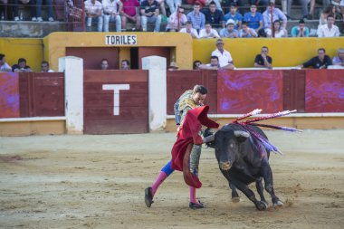 enrique ponce Avila içinde mücadele