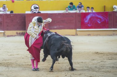 alejandro talavante Avila içinde mücadele
