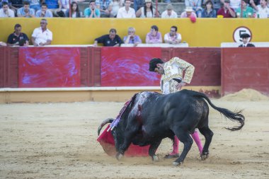 alejandro talavante Avila içinde mücadele