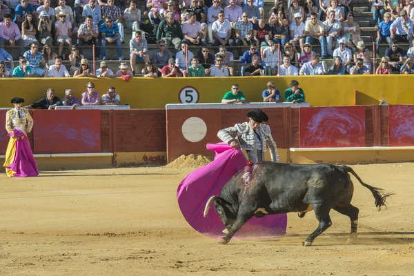 César Jiménez luchando en Ávila — Foto de Stock