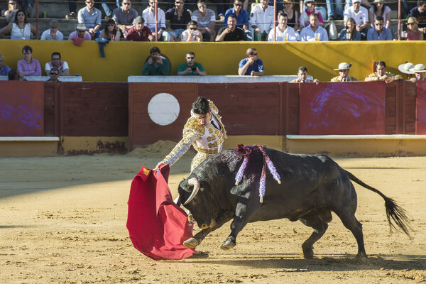 Алехандро Талаванте сражается в Авиле
