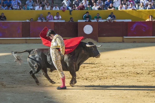 Alejandro Talavante fighting in Avila — Stock Photo, Image