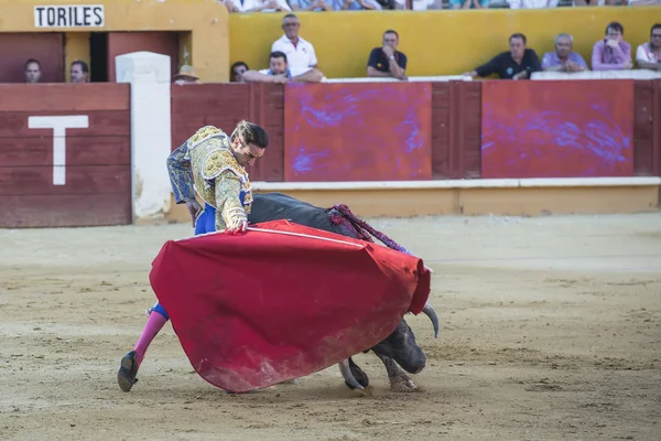 Enrique Ponce luchando en Ávila — Foto de Stock