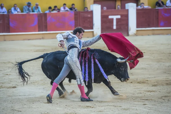 César Jiménez luchando en Ávila — Foto de Stock