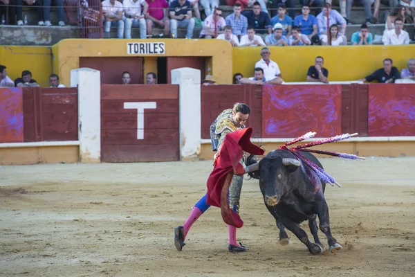 Enrique Ponce lutando em Avila — Fotografia de Stock