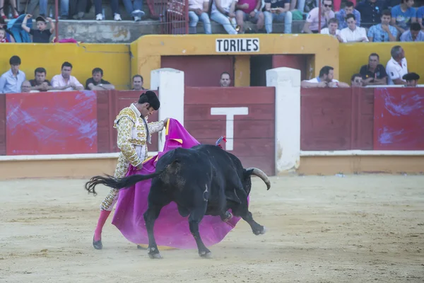 Alejandro Talavante luchando en Ávila — Foto de Stock