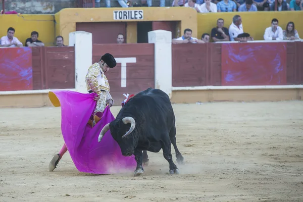 Alejandro talavante bojů v avila — Stock fotografie