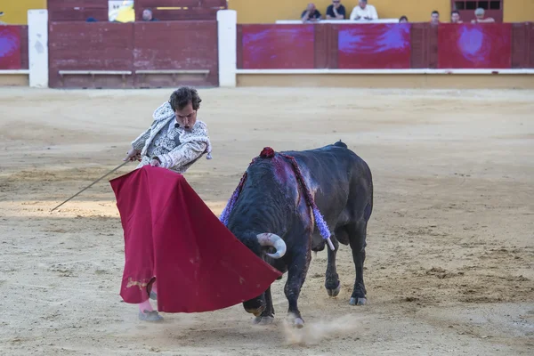 Cesar Jimenez lutando em Avila — Fotografia de Stock