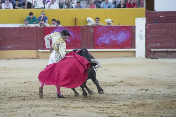 Alejandro talavante gevechten in avila — Stockfoto