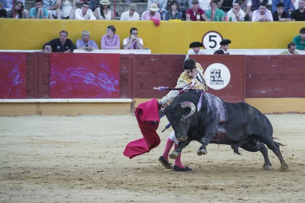 Alejandro Talavante lutando em Ávila — Fotografia de Stock