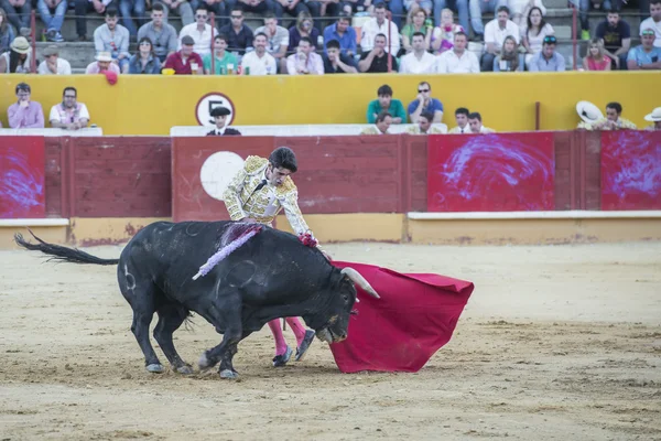 Alejandro Talavante luchando en Ávila —  Fotos de Stock