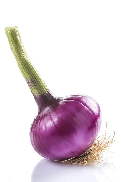 Red onion isolated on a white background — Stock Photo, Image