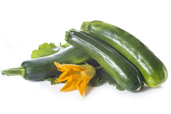 Calabacín con hojas y flores — Foto de Stock