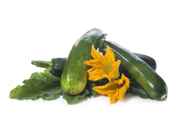 Zucchini med blad och blommor — Stockfoto