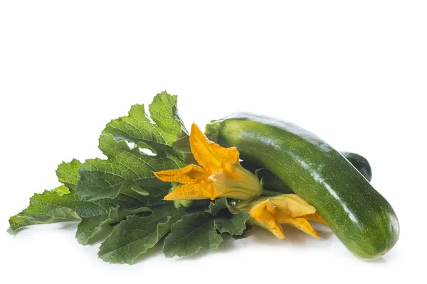 Zucchini med blad och blommor — Stockfoto