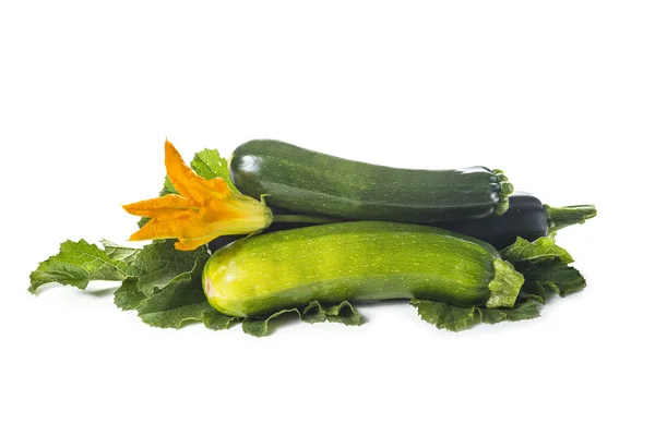Zucchini mit Blättern und Blüten — Stockfoto
