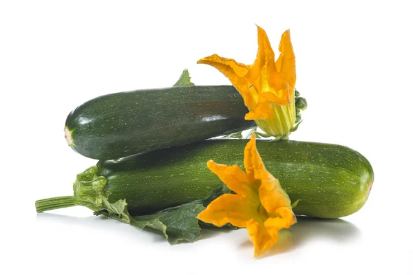 Zucchini med blad och blommor — Stockfoto