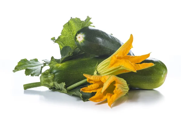 Courgette met bladeren en bloemen — Stockfoto