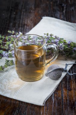 Mentha pulegium infüzyon