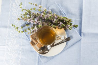 Mentha pulegium infüzyon