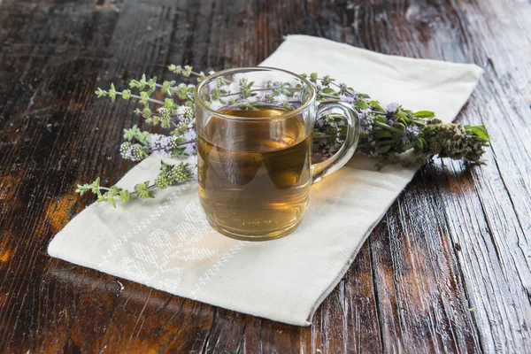 Mentha pulegium infusion — Stockfoto