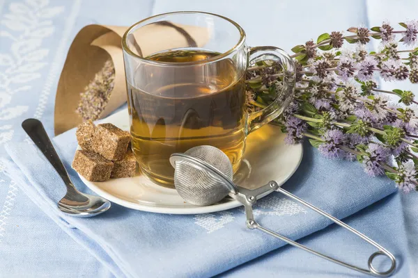 Mentha pulegium infusion — Stock Photo, Image