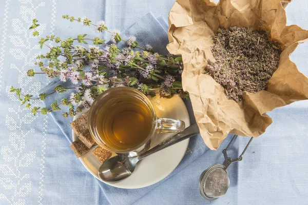 Mentha pulegium infüzyon — Stok fotoğraf