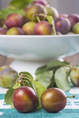 ekolojik Erik gelen portre